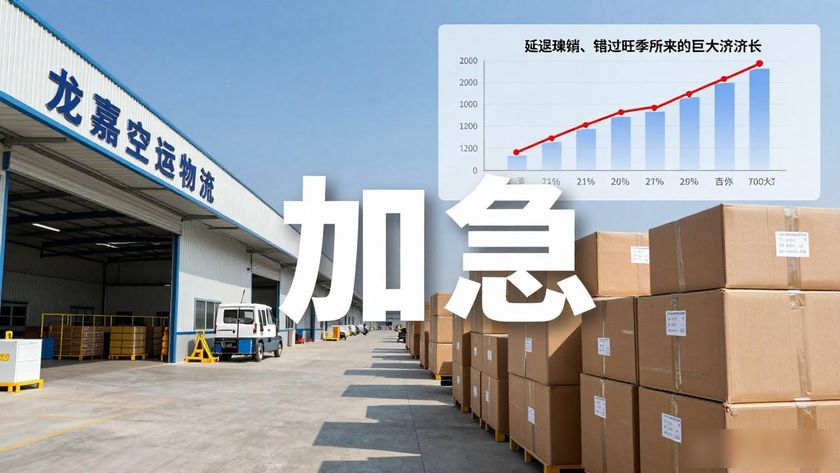空运快递加急件_龙嘉空运物流加急_加急物流查询入口